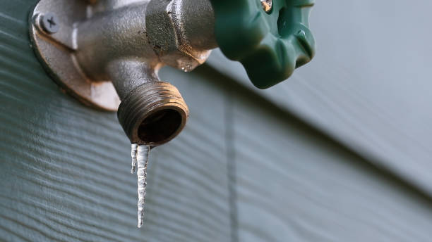 Best Best Plumbers Near Me  in Ladysmith, WI