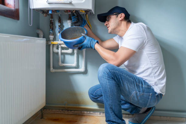 Best Local Plumber Services  in Ladysmith, WI